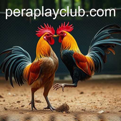 The Digital Arena: Online Sabong and Peraplay Gaming